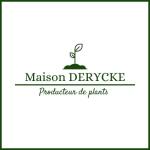 Logo 1 Maison Derycke.jpg