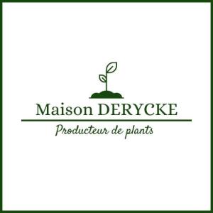 Logo 1 Maison Derycke.jpg