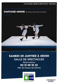 "Fantaisie Minor" ou danse pour piano... à quatre pieds