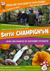 Sortie "Champignons"