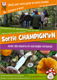 Sortie "champignon"