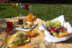 Atelier cuisine & jardin