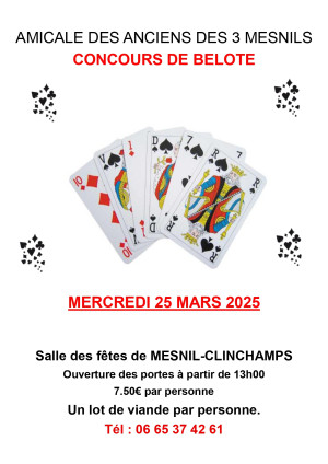 Concours de belote