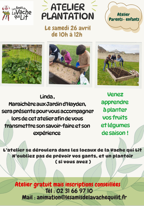 2025 carré vache qui lit