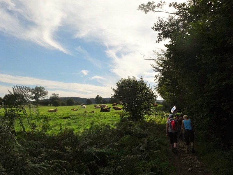 Chemins du Mont 1