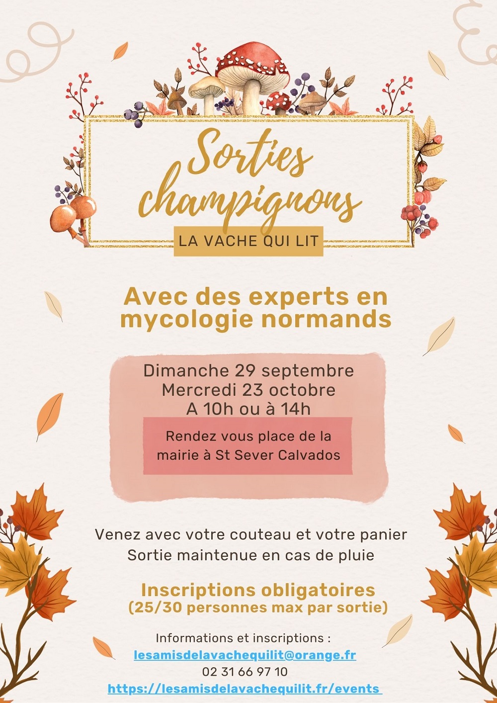 Sorties champignons 2024