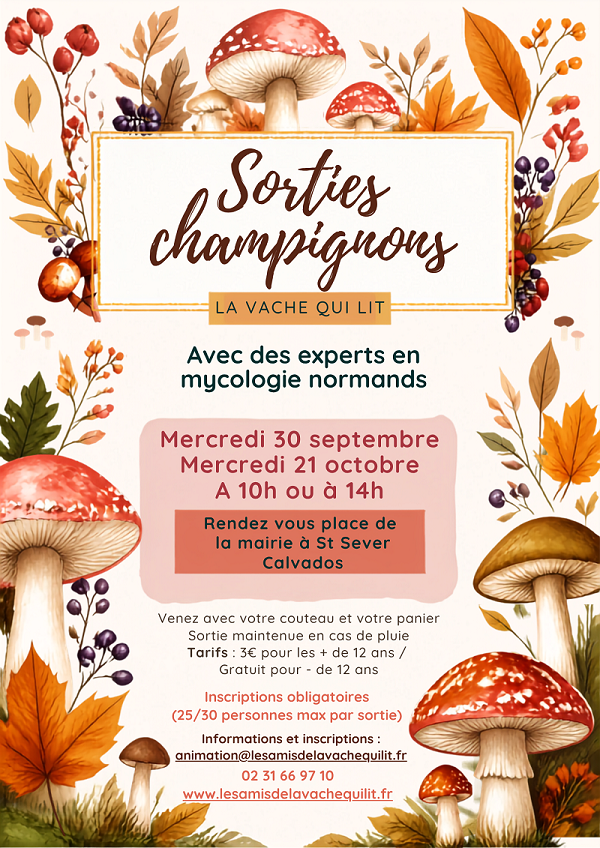 VQL sorties champignons