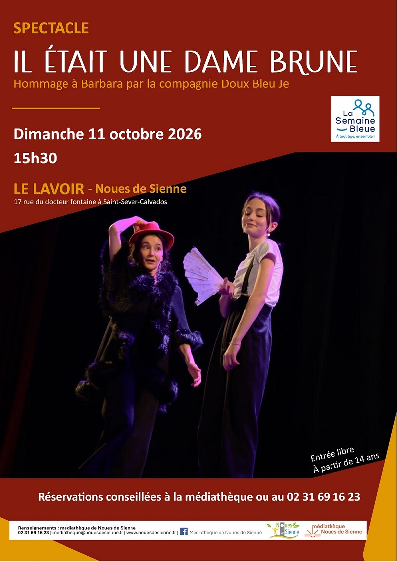 affiche Il était une dame brune